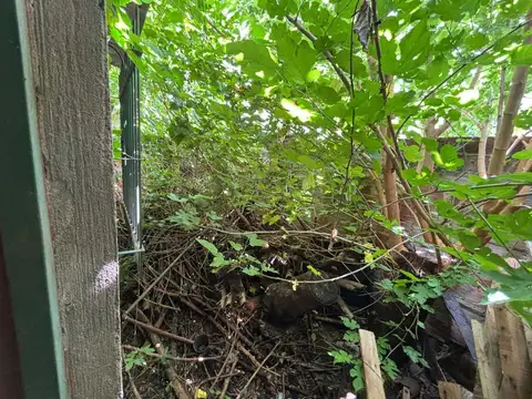 Diagonal A. Williams 1500