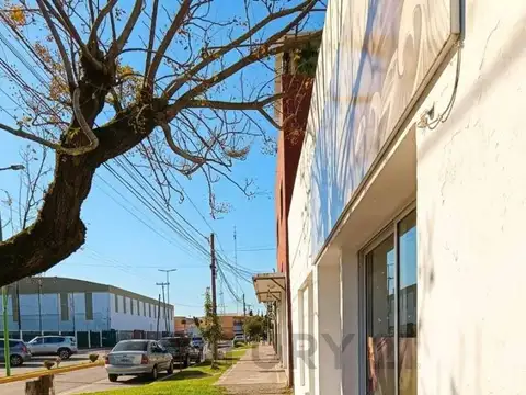 BELGRANO 100, Piso 1