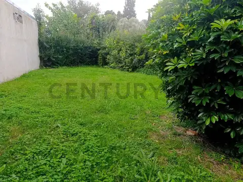VENTA-Casa + 2 Locales Comerciales-Rentabilidad Asegurada.