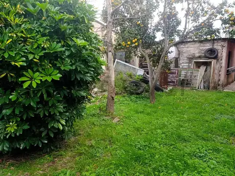 BELGRANO 100, Piso 1