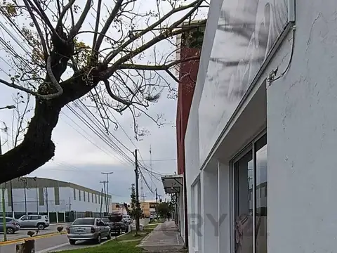 BELGRANO 100, Piso 1