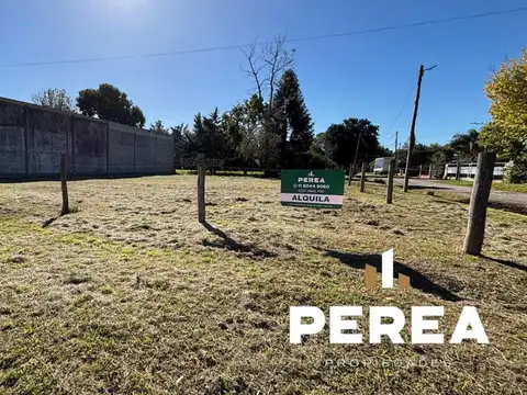 TERRENO EN ALQUILER 
