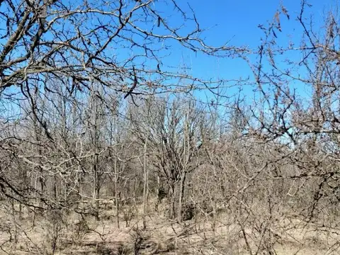 Terreno en Venta de 6,0 m2