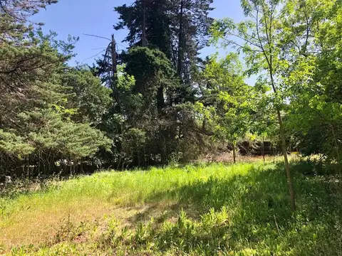 Terreno en venta - 833mts2 - Villa Elisa, La Plata