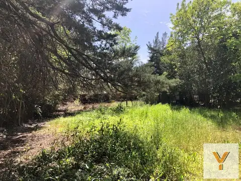 Terreno en Venta en Villa Elisa, USD 45.000