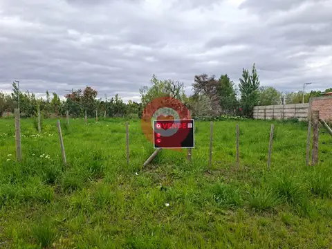 Terreno en Venta 26  mts Fondo