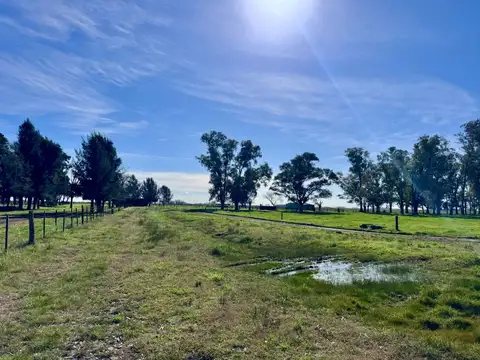 VENTA DE CAMPO EN SAN VICENTE CUARTEL SEGUNDO