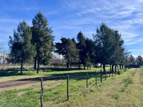 VENTA DE CAMPO EN SAN VICENTE CUARTEL SEGUNDO