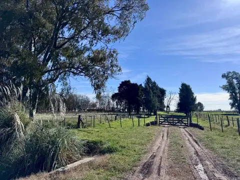VENTA DE CAMPO EN SAN VICENTE CUARTEL SEGUNDO