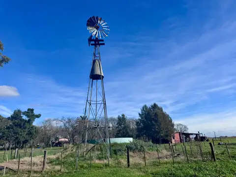 VENTA DE CAMPO EN SAN VICENTE CUARTEL SEGUNDO