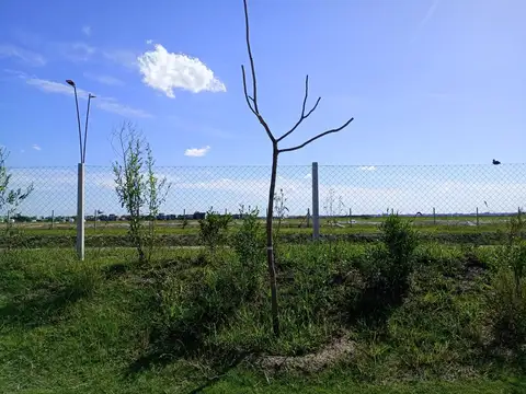 Lote en Venta Nativas  Puertos