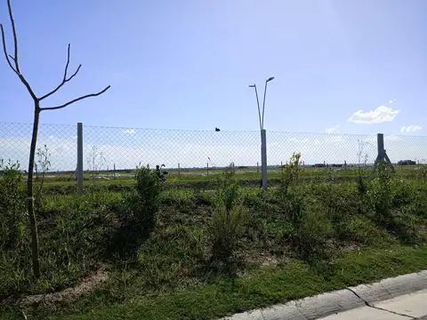 Puertos Barrio Nativas