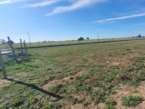 Terreno en Venta de 817,0 m2