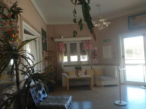20 y 81 bis
