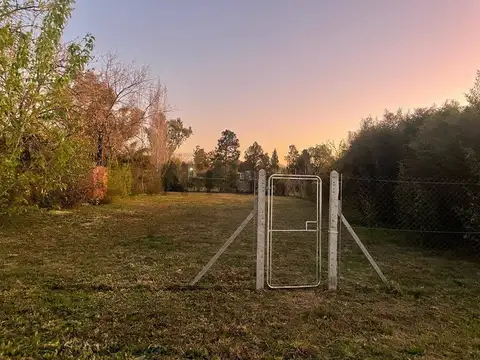 21A  e 445 y 446 , Piso 0