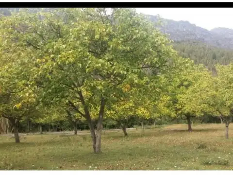 W96W+CQ, Lago Puelo, Chubut Province, Argentina