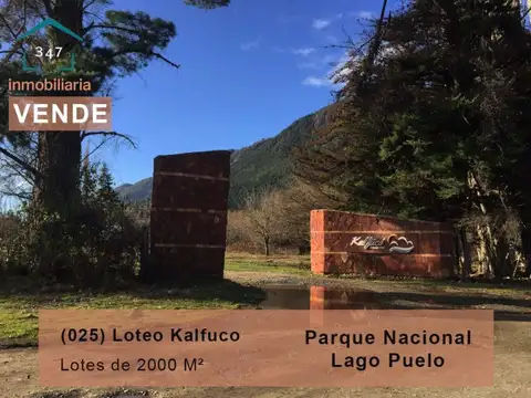 (025) LAGO PUELO (a metros del PNLP) lotes de 2000mtrs2 usd$52.000 y de 1.000mts (en condominio...