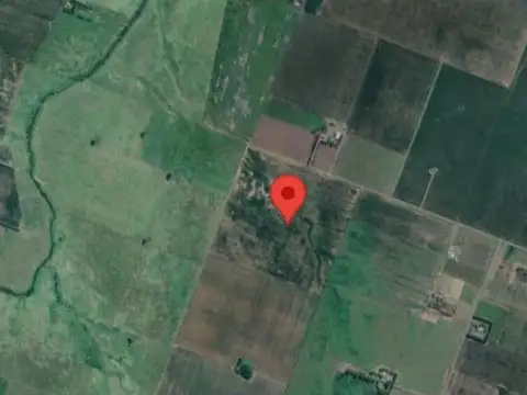 Campo Agrícola 40 Has. En San Pedro, Buenos Aires