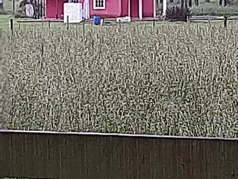 Terreno en Venta en Coronel Brandsen, USD 65.000