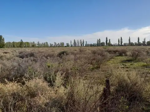 Terreno en Venta en General Alvear, USD 100.000