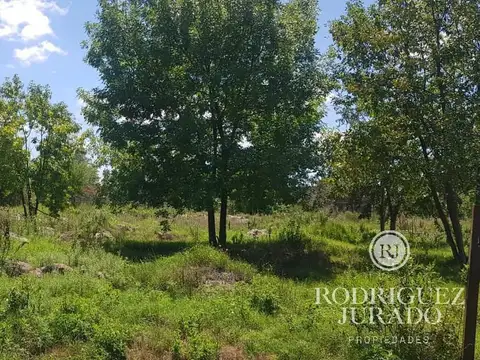 Terreno - Benavidez Lote De 2500 Mts2