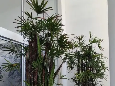 Departamento en Venta al Oeste