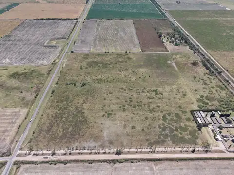 Campo de 22ha en Roldán Sobre Ruta 9