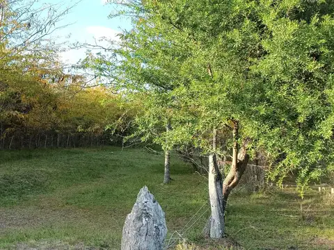 Calle 5545 Entre 73 Y 165