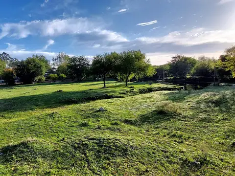 Chacra 1 ha. Excelente micro emprendimiento.