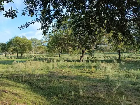 Chacra 1 ha. Excelente micro emprendimiento.