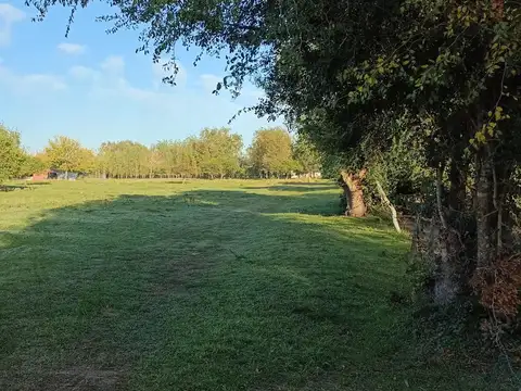 Calle 5545 Entre 73 Y 165