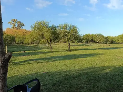 Chacra 1 ha. Excelente micro emprendimiento.
