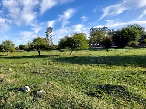 Chacra 1 ha. Excelente micro emprendimiento.