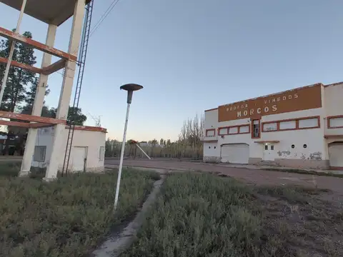 Venta de Bodega en San Martín, Mendoza