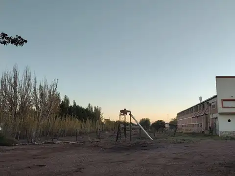 Venta de Bodega en San Martín, Mendoza