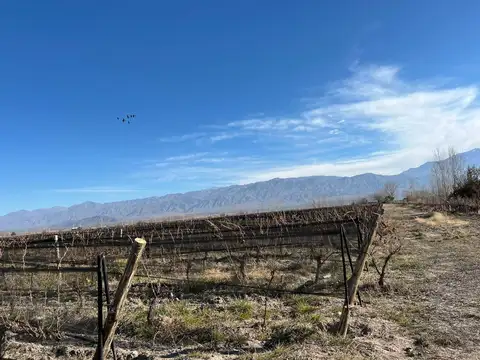 el milagro 100