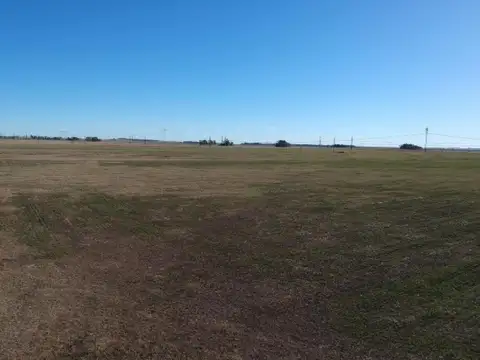 Avenida Avellaneda