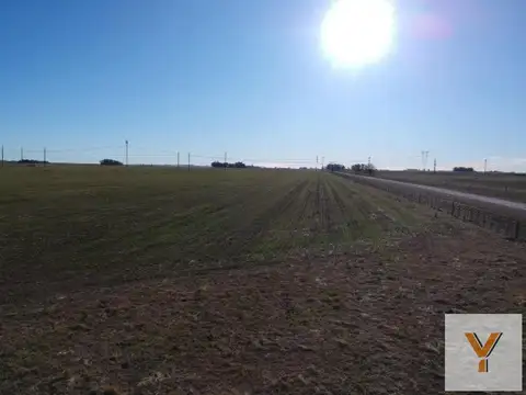 Avenida Avellaneda