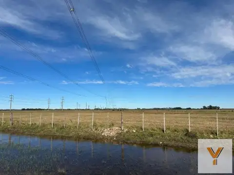 Campo en venta - 480.000Mts2 - Olavarría