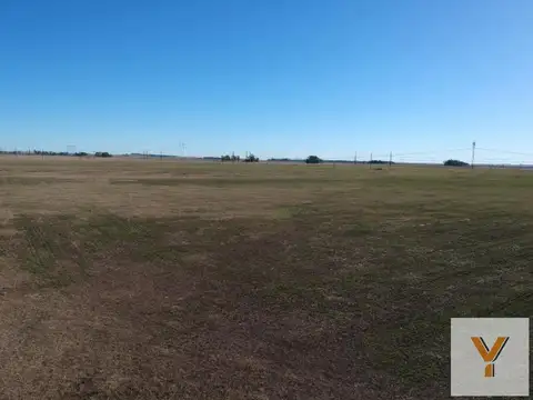 Avenida Avellaneda