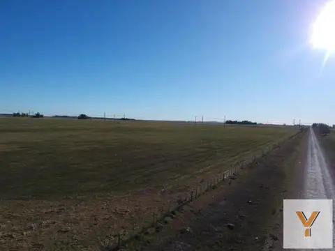 Campo en venta - 480.000Mts2 - Olavarría