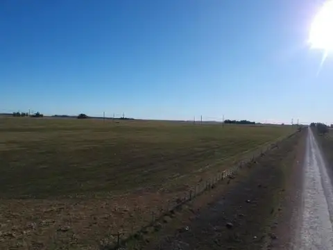 Campo en venta - 480.000Mts2 - Olavarría