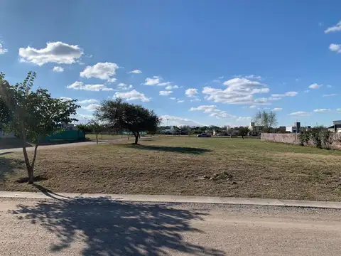 La Cercania 100