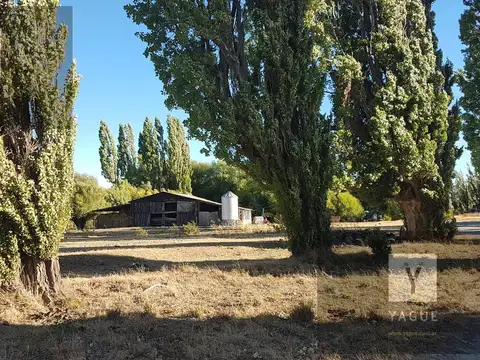 Patagonia Argentina - Establecimiento Productivo y Recreativo - Caza y Pesca