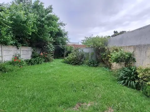 Centenario Uruguayo 100