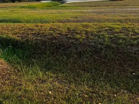 VENTA LOTE 1834 M2  EN HARAS SAN PABLO I GRAL RODRIGUEZ