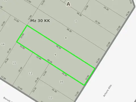 Avenida Doctor Arturo Alió 100