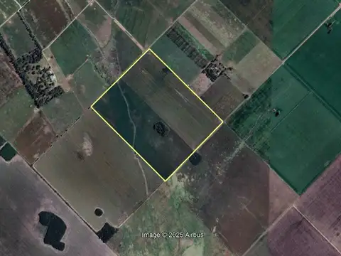 RUTA 38 CARMEN DE ARECO