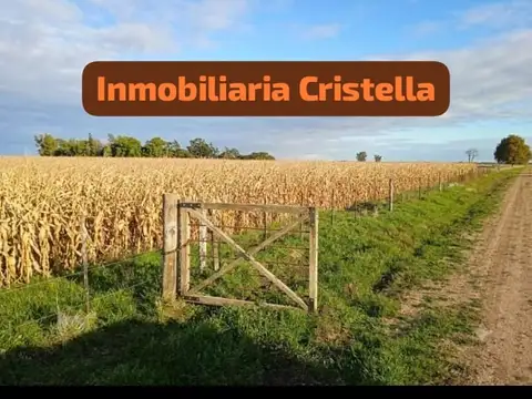RUTA 38 CARMEN DE ARECO