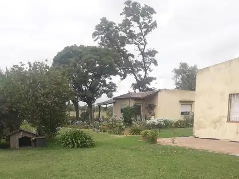 Ruta 205 100